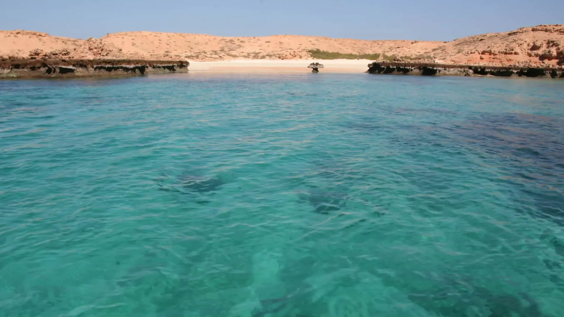 oman-guide_beaches.webp